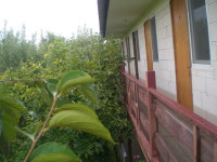 Kamelia Guest House