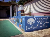 Dive Village 4*