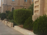 Caritas Betharram Center