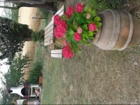 Agriturismo Le Stiacce 
