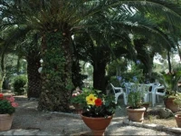 Appartamento PINETA 