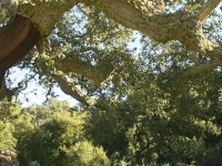 Agriturismo Santa Barbara 
