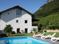 Apartment Runggnerhof 