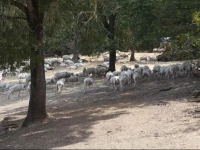 La Nostra Maremma 