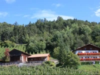 Masunerhof 