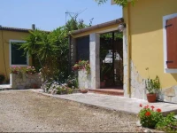 B&B Alvi 
