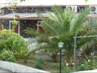 Papuscia 2*