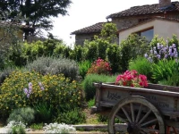 Il Prugnolo 