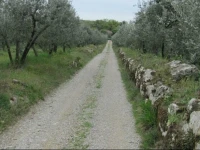 B&B Toscana Station 