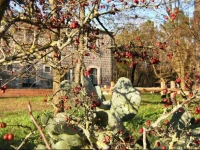 Masseria Lepore 