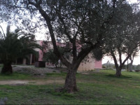 B&B Ulivi dargento