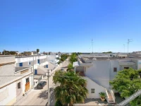 Casa Dalila 