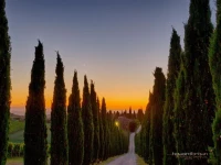 Borgo San Gusme 