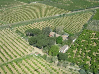 Masseria Brica Rossa