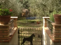 Villa Cesari Tiberi B&B 
