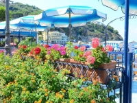 Hotel Terme Marina 