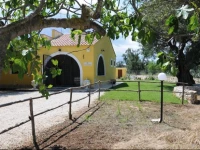 B&B lEremo degli Ulivi 