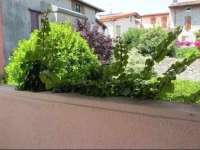 Appartamento a Portese Lago di Garda 