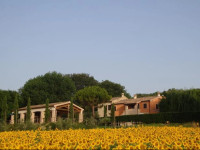 Rustico del Conero