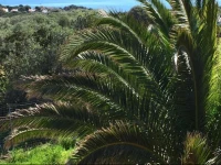 Appartamento Tanca Manna 