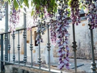 Il trullo dei Tini 