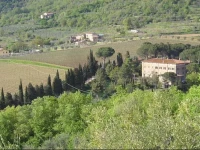 Il Maggese 