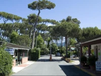 Campeggio Partaccia 1 