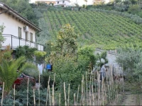 Vacri Vacation Home 