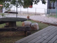 Agriturismo Al Selvadigo 