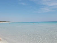 Stellasalentina 