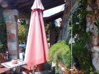 Nepole Home Holiday 