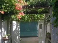 La Locandina 