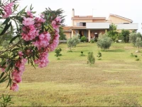 Bed-Breakfast Villa di Judighes 