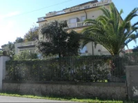 Le Gazzelle 