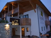 Hotel Chalet Dolomites 3*