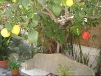 BB La Petite Maison 
