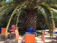 Camping Cala dei Ginepri 