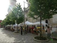 Intra Centro 