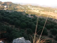 Rocca Del Vento 