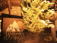 Chalet D2 Borda Arinsal 