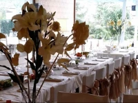 Green House Hotel 