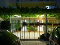 House of Flowers 