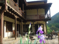 Vila Verbena