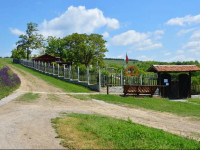 Guest House Kosharite