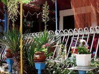 Smile Bungalow