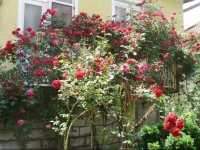 Guest House Stefani 