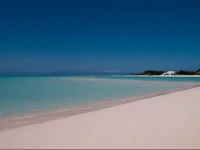 Trade Winds 