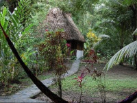 Bullet Tree Riverside Cabanas San Ignacio