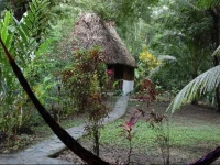 Bullet Tree Riverside Cabanas San Ignacio 