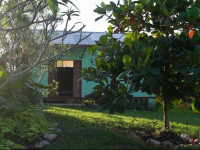 The Green House